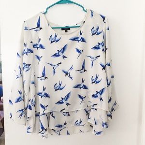 Spring/Bird blue and white layered blouse